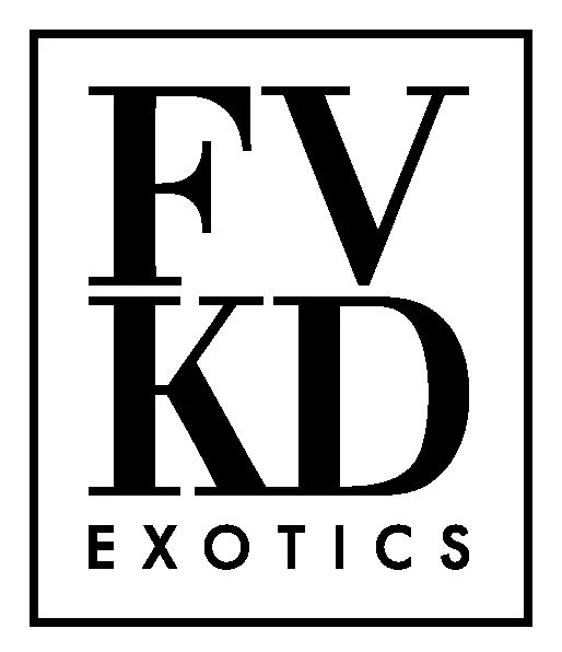 FVKD EXOTICS DISPOSABLE | FVKD EXOTICS VAPE
